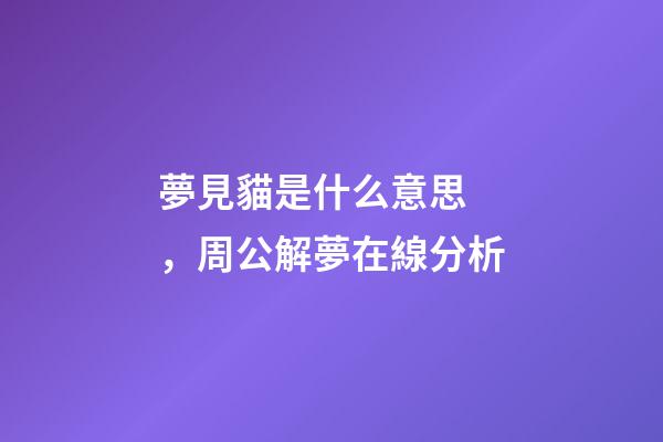 夢見貓是什么意思，周公解夢在線分析